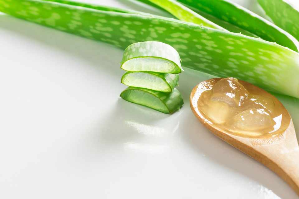 The most important herb in my kitchen – Aloe vera