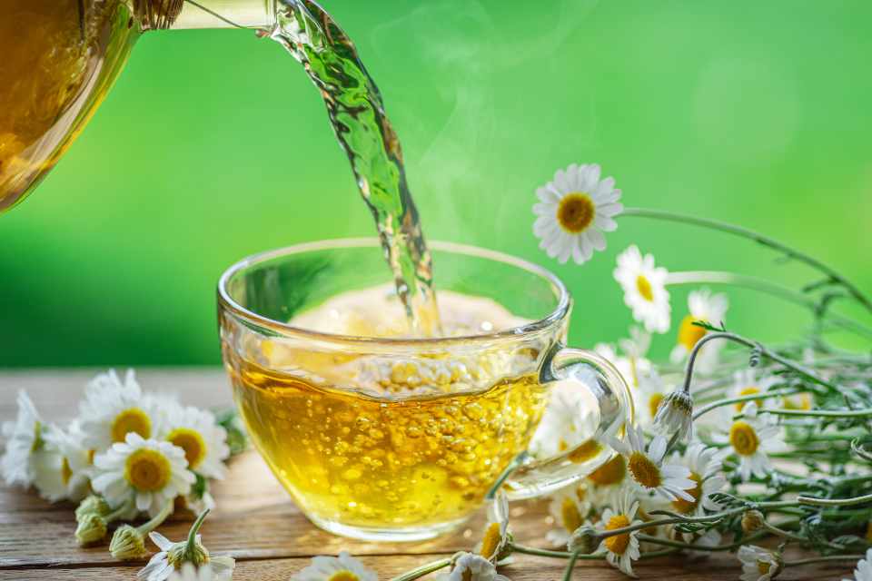 Chamomile Tea for Gut Health: How It Can Help with Digestion