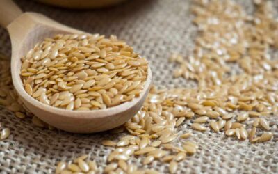 What is flaxseed good for?