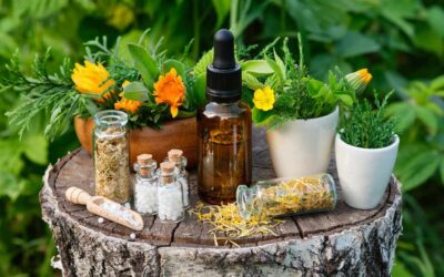 Herbal medicine vs homeopathy – what’s the difference?