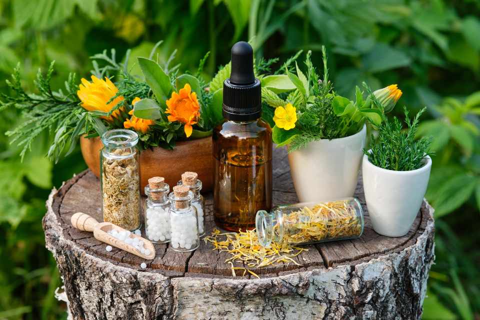 Herbal medicine vs homeopathy – what’s the difference?