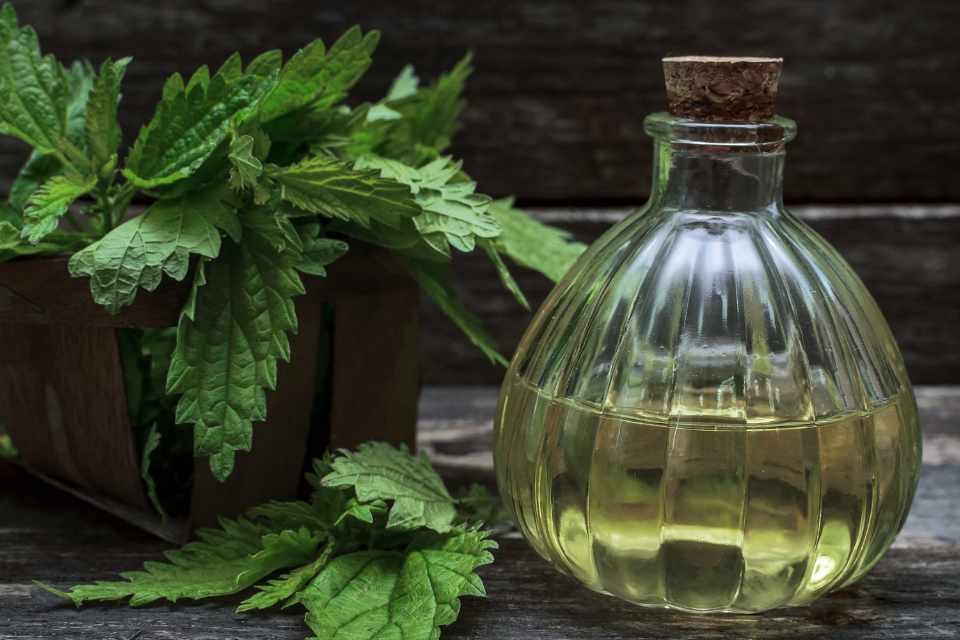 How herbal medicines work from a modern perspective