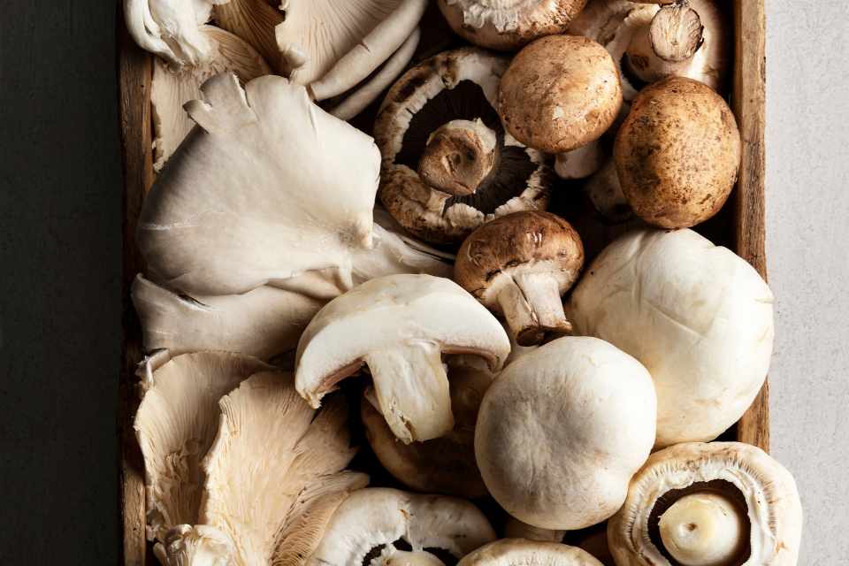 Can eating mushrooms reduce dementia risk and save your brain?