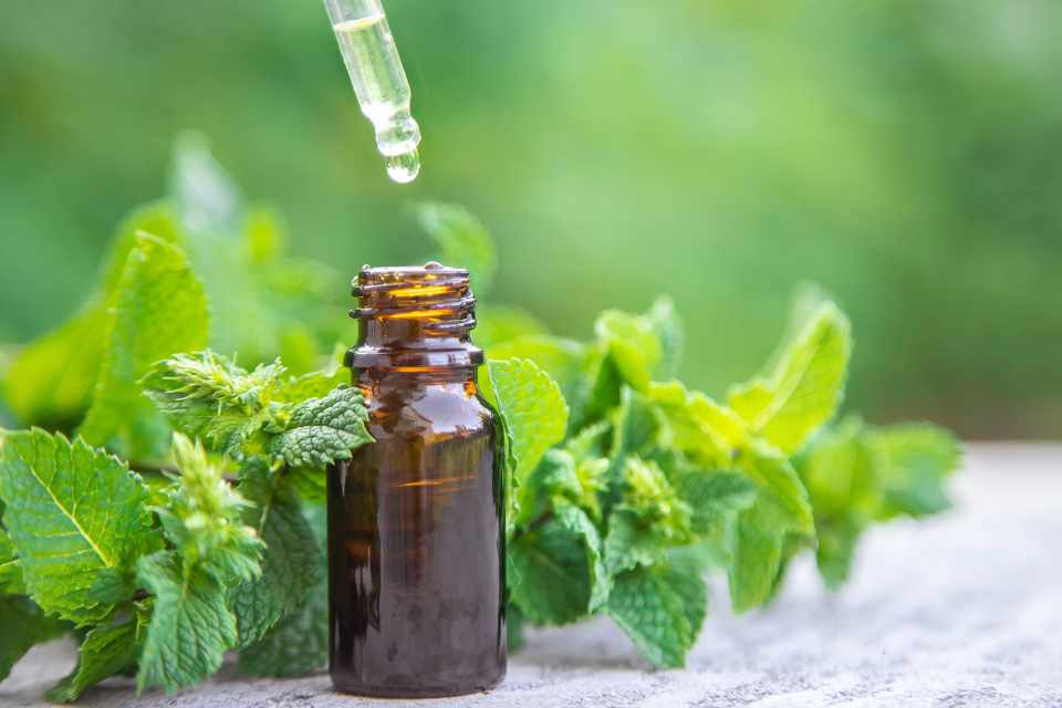 Peppermint and recurrent cold sore infections